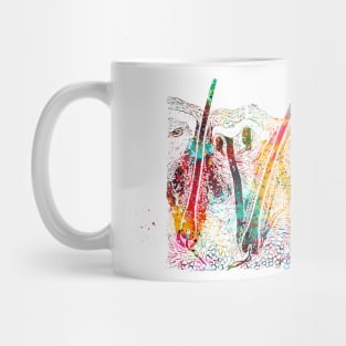 Skin section Mug